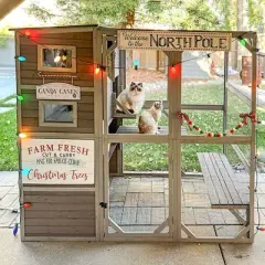 Aivituvin Outdoor Cat Enclosure | Large Pet Enclosure-AIR54