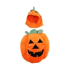 Zack & Zoey Pumpkin Pooch Dog Costume