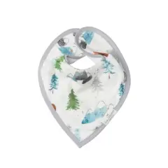 Loulou Lollipop 2pk Muslin Bandana Bib Set - Adventure Begings