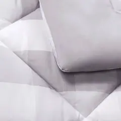 Truly Soft Everyday Buffalo Plaid Comforter Set