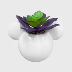 Disney 2pc Indoor/Outdoor Ceramic Mickey and Minnie Mouse Icon Succulent Set Pink/White