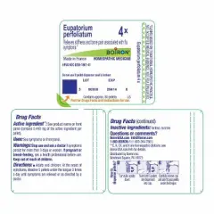 Eupatorium Perfoliatum 4X by Boiron Homeopathic Single Medicine For Pain  -  80 Pellet