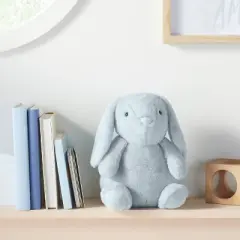 Plush Bunny Stuffed Animal - Cloud Island&trade; Gray