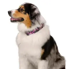 Country Brook Petz 1 1/2 Inch Pink Honeysuckle Breeze Martingale Dog Collar