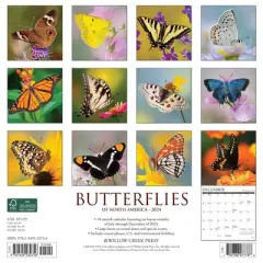 Willow Creek Press 2024 Wall Calendar 12"x12" Butterflies