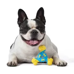 Arm & Hammer Nubbies Trio Bone Dental Dog Toy - Blue/Yellow