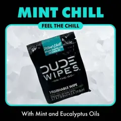 Dude Wipes Mint Chill On-The-Go Flushable Personal Wipes - 30ct