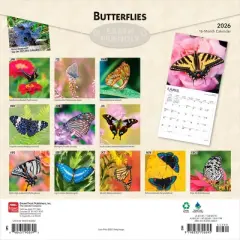 BrownTrout Butterflies 2026 12"x24" Hanging Square Wall Calendar Plastic-Free
