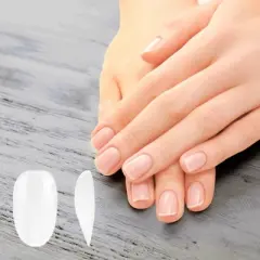 Unique Bargains Women's Short Round Fake Nails Clear 1 Set