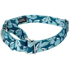 Country Brook Petz Sharks Martingale Dog Collar and Leash