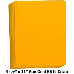 Hamilco Colored Cardstock Scrapbook Paper 8.5" x 11" Sun Gold Color Card Stock Paper 50 Pack