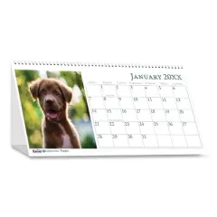 Earthscapes Recycled Desk Tent Monthly Calendar, Puppies Photography, 8.5 x 4.5, White Sheets, 12-Month (Jan to Dec): 2026