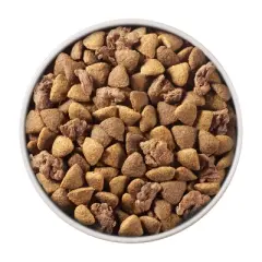 Purina ONE SmartBlend Lamb & Rice Formula Adult Dry Dog Food