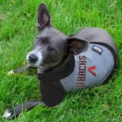 MLB Pets First Pet Baseball Hoodie Shirt