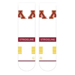 NCAA Minnesota Golden Gophers Premium Knit Crew Socks - White