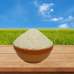 Shastha Traditional Kali jeera Rice/ White Rice - Pack of 2 , 10 Lbs = 20 lbs