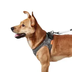 PETKIT Air Pro Dog Harness - M