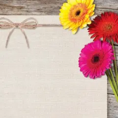 80ct Three Gerber Daisies Letterhead Ivory: Stationery Paper for Writing, Uncoated, 8.5 x 11 Inches, 80 Sheets