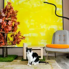 On2Pets Cat House with Scratching Post & Feeder Station - Beige