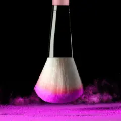 Zodaca 12 Piece Makeup Brush Set with Pouch Bag Organizer, Pink