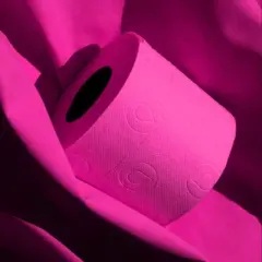 Evideco French Home Goods 3-Ply 140-Sheet Pink Toilet Paper Playful Decorative Bulk Sandalwood-Scented Rolls