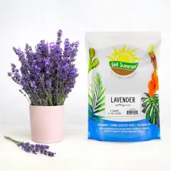 Soil Sunrise Lavender Potting Soil Mix, Container Gardening Blend for Herb Plants