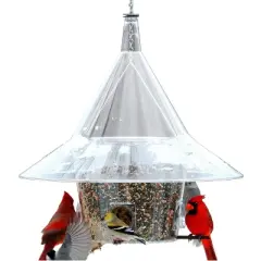 Arundale Mandarin Squirrel-Proof Wild Bird Feeder with 4 Perches, 7lb Capacity