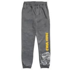 Jurassic World Jurassic Park T-Rex Fleece 2 Pack Jogger Pants Toddler