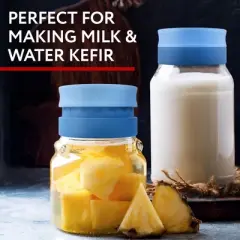 Impresa 3-Pack Kefir Mason Jar Strainer Lids for Making Kefir - Wide Mouth Kefir Strainer Lids