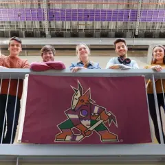 3' x 5' NHL Arizona Coyotes Deluxe Flag