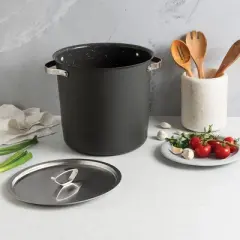 Nordic Ware Verde 12 Qt Stock Pot with Lid