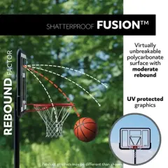 Lifetime Adjustable Portable Basketball Hoop (48-Inch Polycarbonate) - 90812