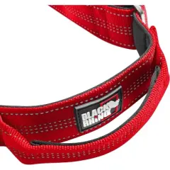 Black Rhino Soft Neoprene Padded Dog Collar for All Breeds