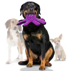 Tuffy Ocean Creature Octopus Dog Toy - Purple - S