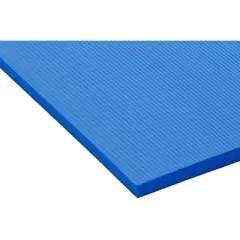 AIREX Hercules mat