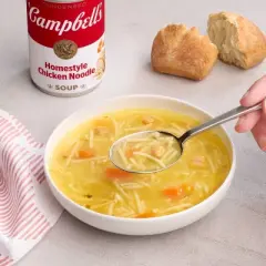 Campbell's Condensed Homestyle Chicken Noodle Soup - 10.5oz