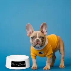 Amici Pet Ceramic Eat + Drink Bowl Large, Pet Food and Water Feeder, Anti-Slip Ceramic Treat Bowl, White Bowl, 24-Ounce