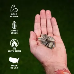 Sunflower Seeds - MAPLE BROWN SUGAR