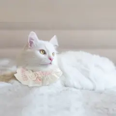 Unique Bargains Cat Collar Pink Black 2 Pcs