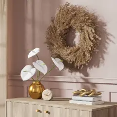 Pampas Preserved Wreath - Threshold&trade;