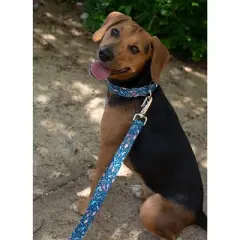 Country Brook Petz Martingale Collar and Leash - Critter Corner Collection