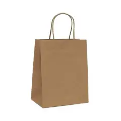 4pk Cub Bag Brown - Spritz&trade;