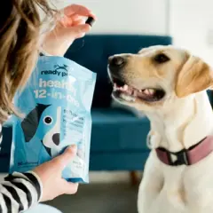 Ready Pet Go Multivitamin Dog Chews, Healthy 12-in-1 Health Support, Joint Gut and Immune Supplement for Dogs, Bacon Liver & Cheese Flavor, 60 or 90ct