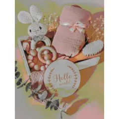 embe Newborn Baby Shower Gift Set