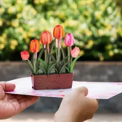 Frndly by Paper Love 3D Tulip Plant Pop Up Card, For All Occasion - Handcrafted 100% Recycled and Eco-Friendly, 8" x 6" Cover