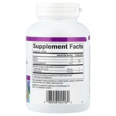 Natural Factors BlueRich&reg;, Super Strength Blueberry Concentrate, 500 mg, 90 Softgels