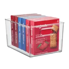 InterDesign Small Plastic Storage Bin with Handle