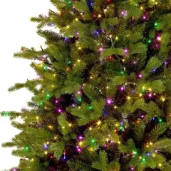 National Tree Company Pre-lit Feel Real Full Princeton Fraser Fir Artificial Christmas Tree with Dual Color LED Lights