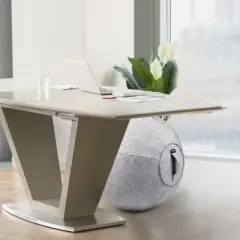 Bintiva Stability Ball with Felt Cover