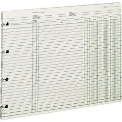 Wilson Jones Accounting 9-1/4 x 11-7/8 100 Loose Sheets/Pack GN2D